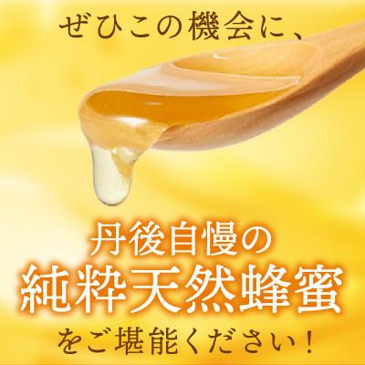 ふるさと納税 京丹後市 【京都 京丹後産】 非加熱　純粋天然はちみつ 600g　百花ハチミツ |  | 03