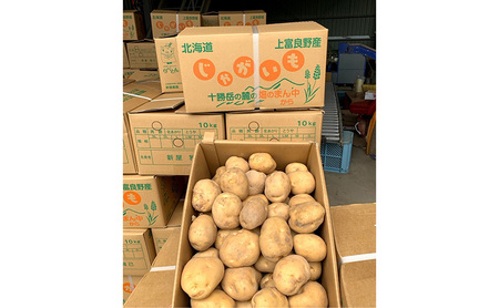 【令和8年産】しんや農園のじゃがいも「とうや5kg & 男爵5kg」 計10kg 野菜 旬の野菜 北海道産 北海道野菜 国産 国産野菜 グルメ 食材 ポテト 北海道産じゃがいも 食べ比べ 煮崩れしにく