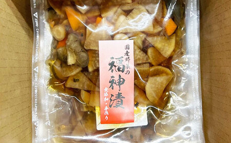 国産野菜の大人な福神漬(無添加・国産) 計500g 100g×5袋 / 恵那市 / マルコ醸造 [AUCT013]