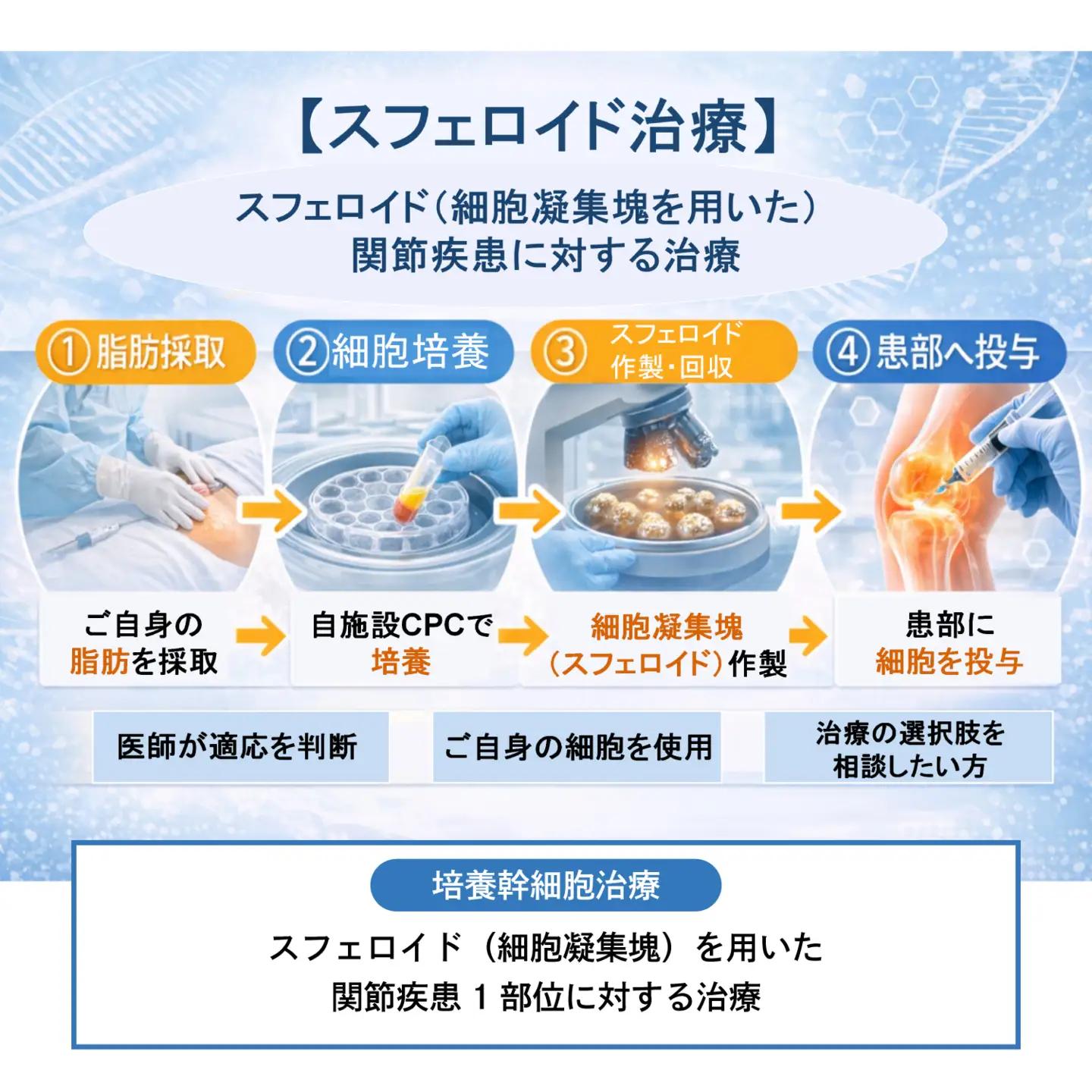 【培養幹細胞治療】スフェロイド（細胞凝集塊）を用いた関節疾患1部位に対する治療（※本返礼品は、院長診察にて本治療が適応と診断された方のみご利用いただけます。）