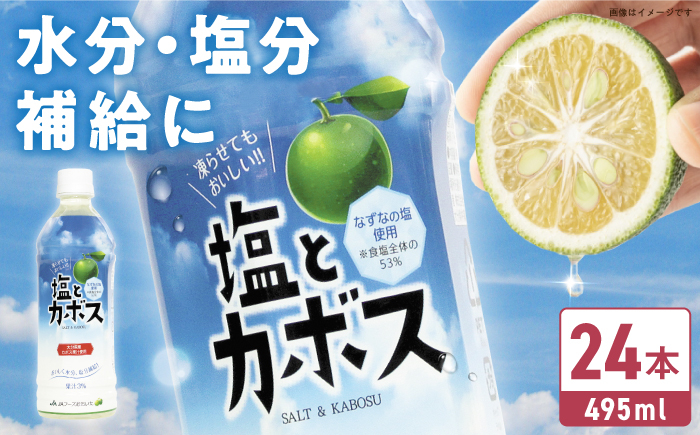 
                  塩とカボス 495ml×24本 日田市 / 株式会社綾部商店　カボス ジュース 飲料[ARDC015]
                