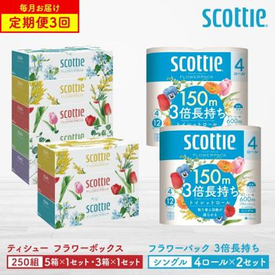 ふるさと納税 八代市 【毎月定期便】スコッティティシュー5箱P×1+3箱P×1+トイレット4ロール(シングル)P×2全3回