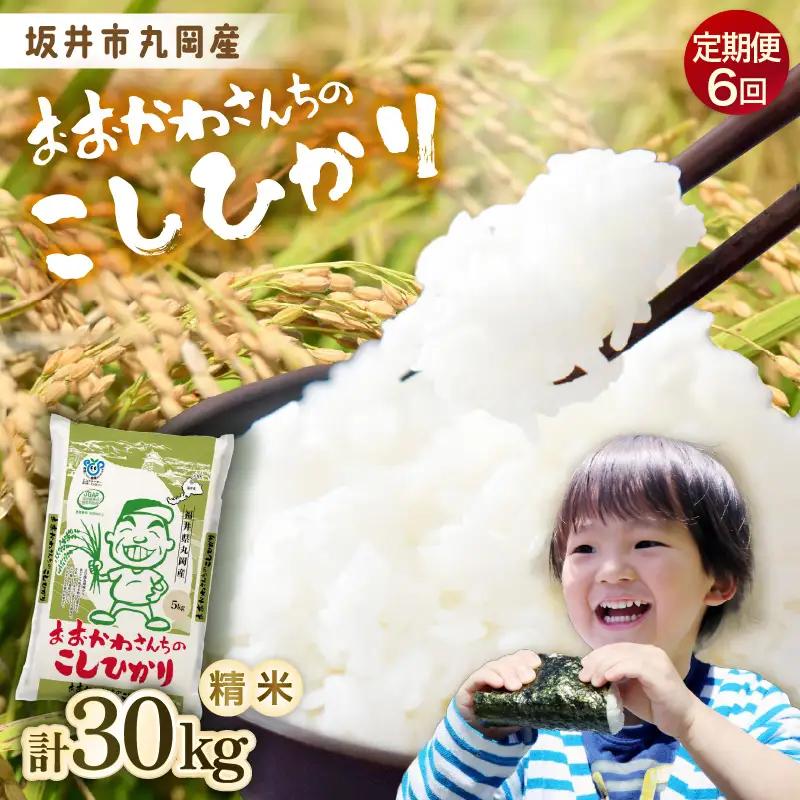 【令和7年産】 【6ヶ月連続お届け定期便】おおかわさんちのコシヒカリ 5kg × 6回 計30kg 精米 [E-10802]