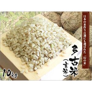 【令和5年産】たこまいらいふ萩原農場の多古米コシヒカリ(精米)10kg・(玄米)10kgセット【配送不可地域：離島・沖縄県】【1438053】