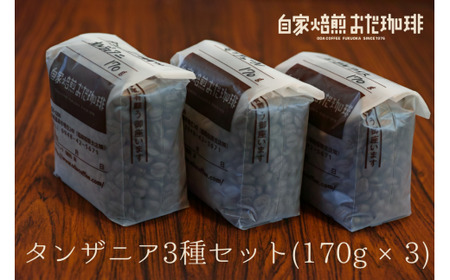 自家焙煎 おだ 珈琲 タンザニア 3種セット 各170g 合計510g コーヒー 豆