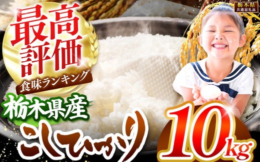 【先行予約】栃木県産コシヒカリ白米 10kg【栃木県共通返礼品】