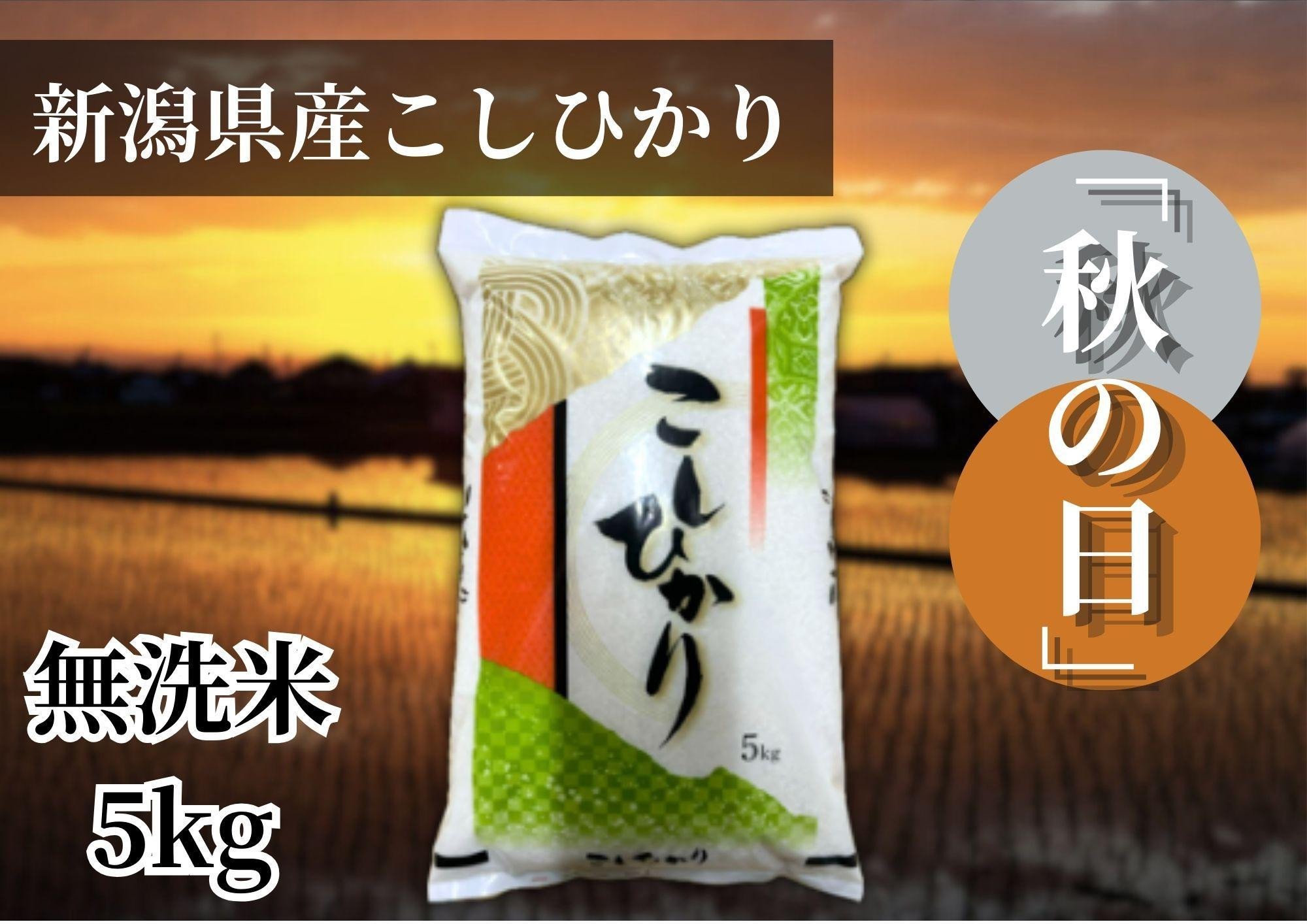 
            【令和6年産 】新潟県産こしひかり「秋の日」（無洗米5kg）新潟県の美味しいお米。
          
