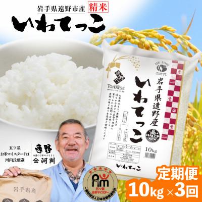 ふるさと納税 遠野市 【毎月定期便】岩手県 遠野産 いわてっこ 精米 10kg 河判全3回