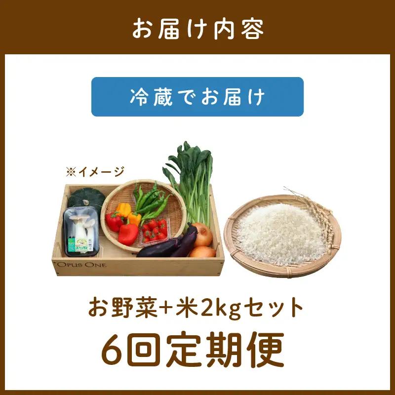 【6回定期便】有機野菜・京野菜の『京都やおよし』のお野菜と米2kgの詰め合わせ