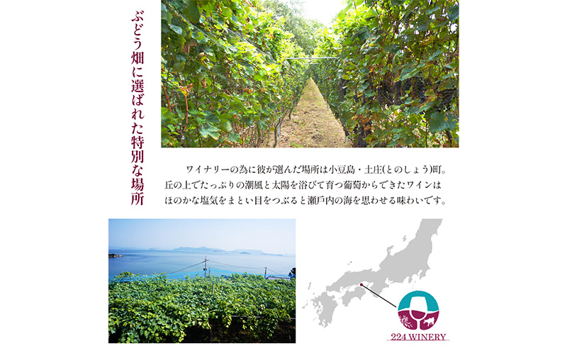 シードル 2025 甘口・辛口2本セット/ 小豆島醸造 / ふじりんご100%のお酒