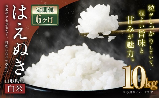 【6ヶ月定期便】【令和7年産新米】〈 白米 〉 はえぬき 10kg×6回 計60kg 山形県産 新米 お米 【2025年11月上旬発送開始予定】