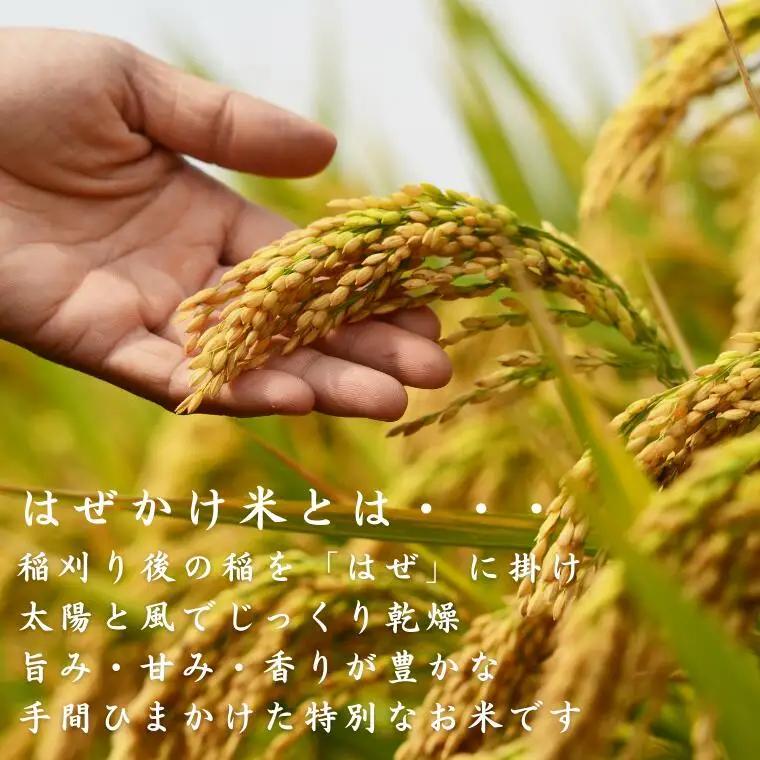 【令和7年産】太陽の恵みをいっぱいに受けた佐久穂の「はぜかけ米」精米５㎏［CH-112］