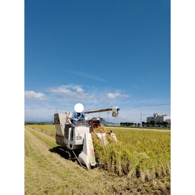 ふるさと納税 野木町 コシヒカリ<精米>約9kg(栃木県野木町産) |  | 01