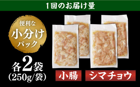 【全3回定期便】【塩だれ味】 九州産和牛 ホルモン 2種 計1kg（ シマチョウ 250g×2袋・ 小腸 250g×2袋） 長与町/岩永ホルモン [EAX147] ホルモン 小腸 ホルモン シマチョウ