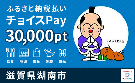 
湖南市 チョイスPay 30,000ポイント【会員限定のお礼の品】
