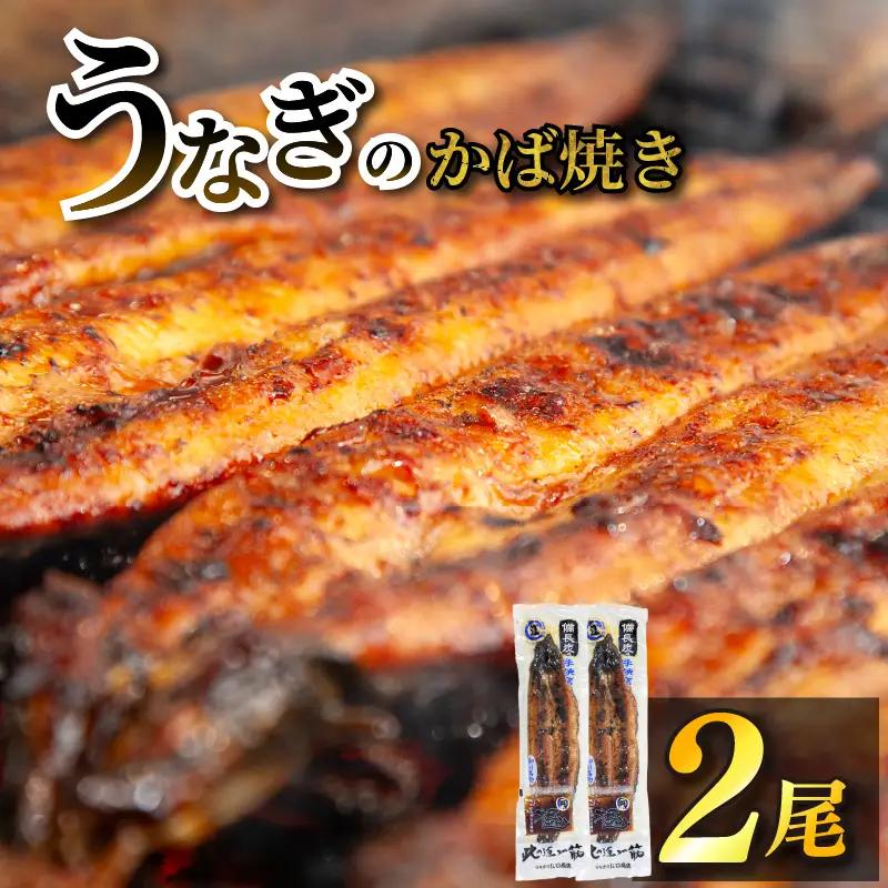 国産鰻 炭火焼き 2尾 うなぎ 柳川 鰻