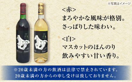 ワイン「神馬」 赤・白 720ml×各1本 お酒 赤ワイン 白ワイン 栗東市 / 酒甚 [BIAK005]