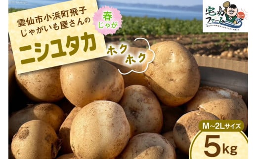 
【先行受付】 じゃがいも ニシユタカ 5kg [宅島ファーム 長崎県 雲仙市 item1171] 野菜 ジャガイモ 5キロ 馬鈴薯 春じゃが 長崎県産 期間限定
