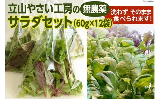 
立山やさい工房のサラダセット（60g×12袋）
