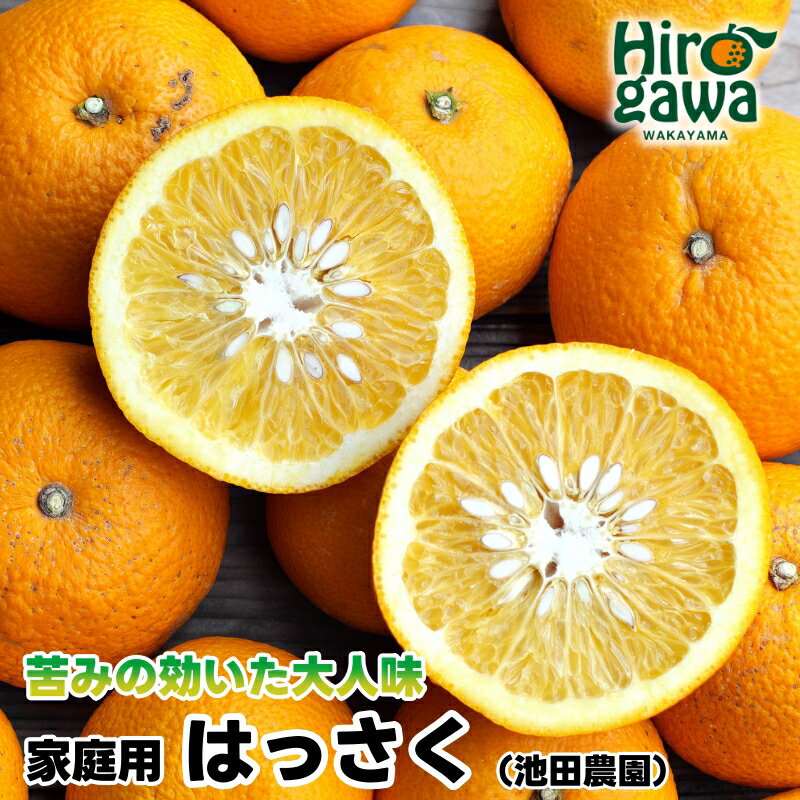 【ふるさと納税】 家庭用 はっさく 【 八朔 】 【 わけあり 訳あり 】 5000円 6000円 8000円 11000円 14000円 ※1月上旬〜4月上旬頃に順次発送予定 ※北海道・沖縄・離島への配送不可 // hassaku