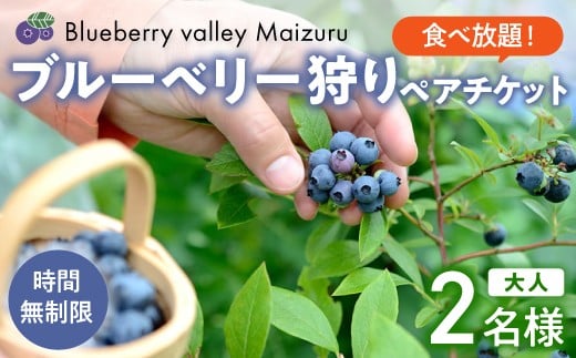 【6月～8月】 ブルーベリー狩り ペアチケット 【時間無制限・食べ放題】 | ブルーベリー 果物 フルーツ狩り 中学生以上 摘み取り 体験 チケット ペア 時間 無制限 食べ 放題 関西 京都 舞鶴