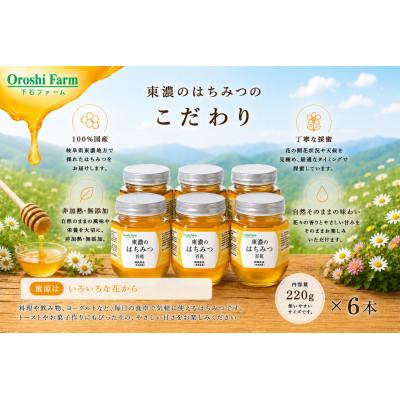 ふるさと納税 土岐市 東濃のはちみつ　百花　220g　6本セット
