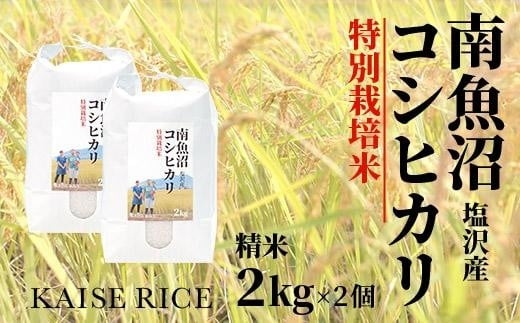 
南魚沼産塩沢コシヒカリ【従来品種】（特別栽培米８割減農薬）精米２ｋｇ×２個
