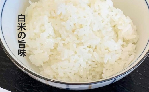 【白米の旨味】土に酒粕を混ぜることで、お米の旨味や炊いた時の艶が増します。白米が持つ味わいをお楽しみください。