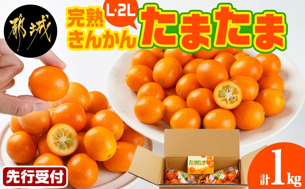 
            《先行受付!》 完熟きんかん「たまたまL&2L」 計1kg (スタンドパック入り)_AO-0104_(都城市) みやざきブランド 完熟きんかん たまたま Lサイズ 2Lサイズ スタンドパック
          