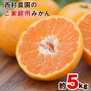 【ふるさと納税】ご家庭用『西村農園』のご家庭用みかん★約5kg(2S-2Lサイズ) フルーツ 秋 旬★熊本県玉名郡玉東町 80年の老舗農家が作るジューシーみかん♪ちょこっと訳あり《11月下旬-12月下旬頃出荷》