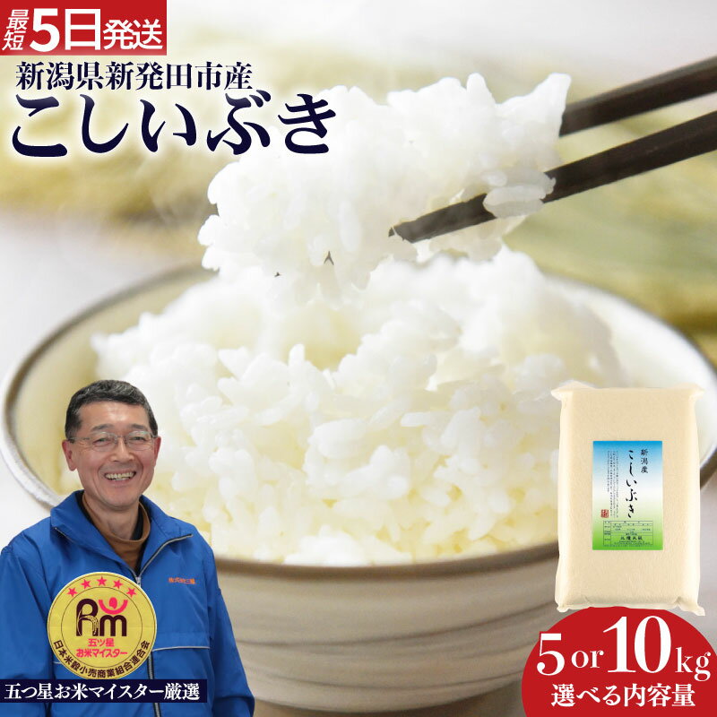 【ふるさと納税】 いつでも新鮮真空パック！ こしいぶき 5kg 10kg (5kg×2) 袋 選べる 容量 令和7年産 五つ星お米マイスター 真空パック 米 新米 新発田産 備蓄 非常 防災 長期保存 アウトドア ごはん ご飯 お米 こめ 新潟県 新発田市 新潟県産 三糧 sanryo013P