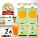 【ふるさと納税】「サジー+ゆず」ジュース 1,000ml×2本 セット｜サジージュース サジー シーベリー 沙棘 グアマラル 健康ドリンク 健康 美容 栄養 果汁 鉄分補給 栄養補給 健康食品 ギフト 贈答 贈り物 お祝 プレゼント ご褒美 記念日 景品 お中元 お歳暮 飲み物 _DX05