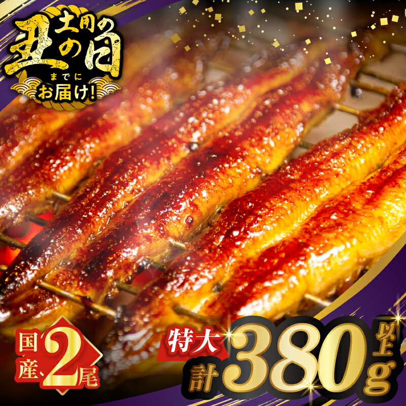 【ふるさと納税】≪選べる内容量≫【丑の日までにお届け！！】 うなぎ 蒲焼 特大 2尾 さんしょう たれ付き 計380g以上 総重量1.14kg以上 定期便 丑の日 国産 鰻 ウナギ ひつまぶし うな重 贈り物 ギフト うなぎ長焼 鰻楽 小分け 宮崎県 都農町 送料無料 レビューキャンペーン