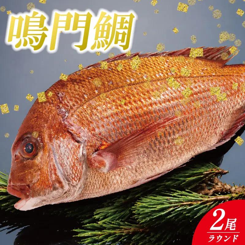鳴門鯛 2kg ラウンド 2尾 鳴門鯛