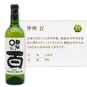 マルサン葡萄酒 アジロン 百 甲州 百 2本セット（MG）B13-668【ワイン マルサン葡萄酒 赤ワイン 白ワイン 甲州市 山梨県】