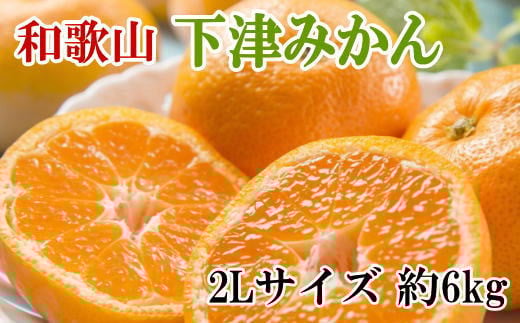 【産直・秀品】和歌山下津みかん 約6kg（2Lサイズ）【2025年11月中旬頃～2026年1月中旬に順次発送】【TM75】