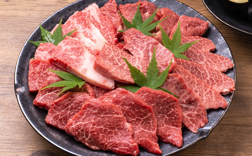 【訳あり】【A4～A5】 長崎和牛 焼肉切り落とし （肩ロース・バラ） 約500g