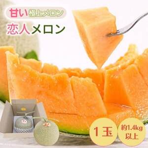 【先行受付】甘い!赤肉 稀少な上田農園の「恋人メロン」 1.4kg以上(1玉)_高級 フルーツ 贈答 ギフト_【1680907】
