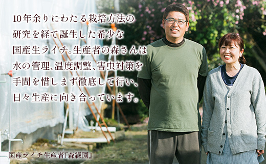 ライチゼリー 8個 フルーツゼリー ギフト 特産品 お取り寄せ 宮崎県 新富町【B453】