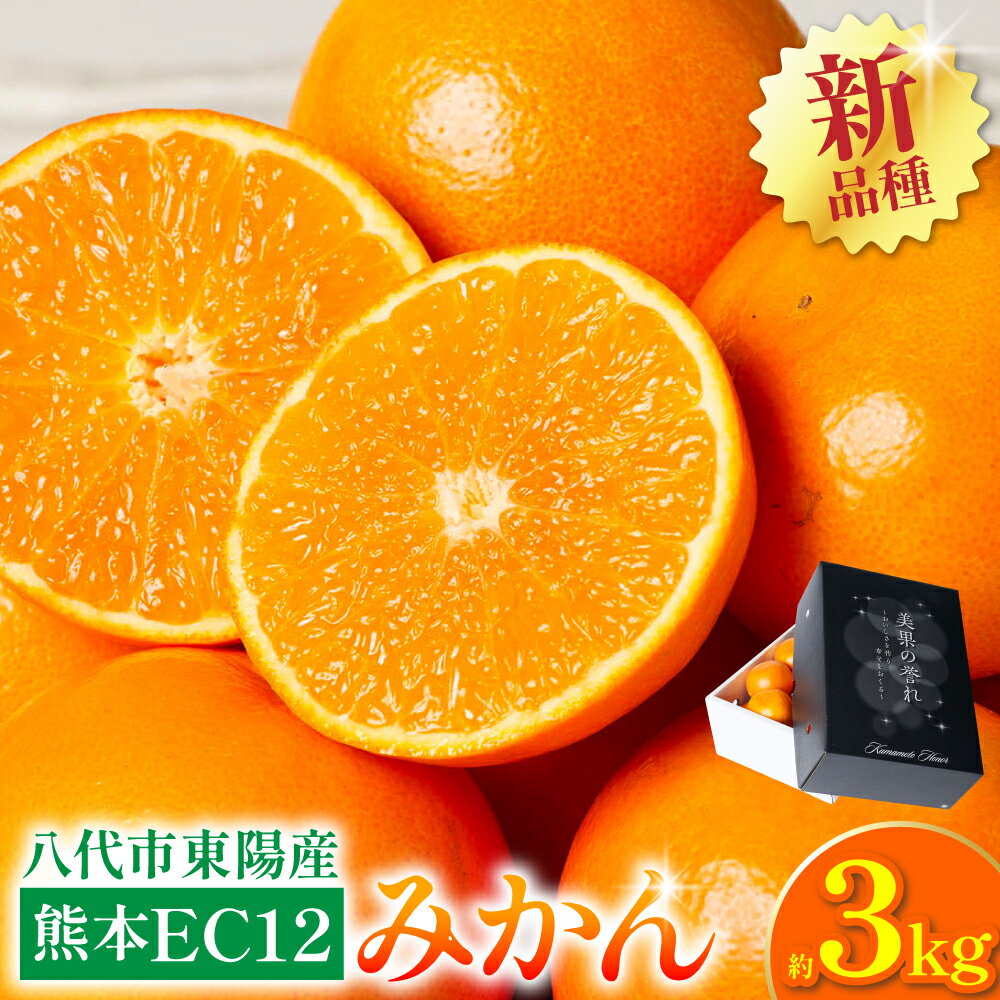 【ふるさと納税】【先行予約】 八代市東陽町産の 「熊本EC12みかん」 約3kg みかん 柑橘 フルーツ 果物 果実 ミカン 蜜柑 熊本県 八代市 送料無料 【2026年12月上旬より順次発送】