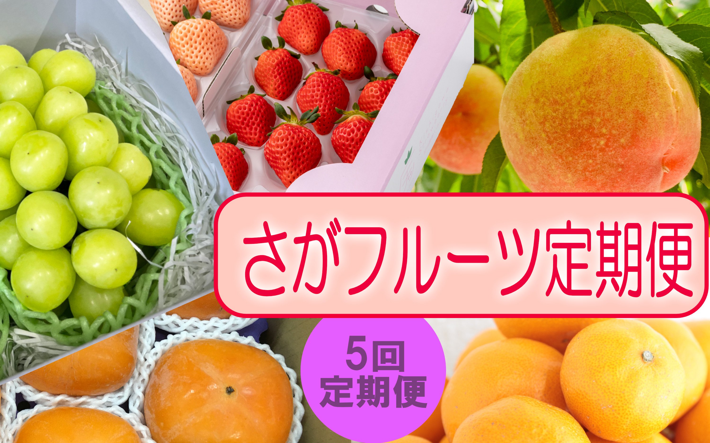 
            【定期便セット】佐賀の旬 フルーツ定期便 年5回(いちご、桃、シャインマスカット、柿、みかん)
          