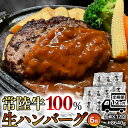 【ふるさと納税】【12ヶ月定期便】 黒毛和牛 常陸牛 100% 特製 プレミアム 生ハンバーグ 120g×6個入り 合計720g 八千代町産 白菜 使用 無添加 無着色 保存料不使用 冷凍 牛 牛肉 ビーフ 生 ハンバーグ こだわり