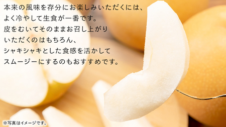 にっこり 梨 5kg （7～10玉）【2025年10月より発送開始】（茨城県共通返礼品 [梨]：大子町産） なし 旬 お取り寄せ フルーツ 甘い ジューシー 和梨 時期