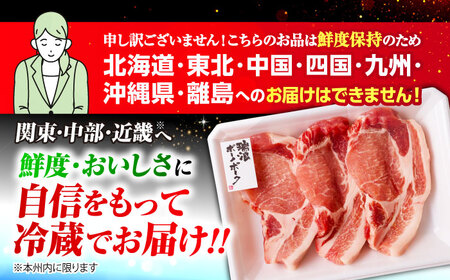 【3回定期便】 ※冷蔵配送/地域限定※ 岐阜県産 豚 瑞浪ボーノポーク ステーキ 1kg 食べ比べセット (リブロース・ロース・肩ロース) 瑞浪市 / きなぁた瑞浪[AZCI059]