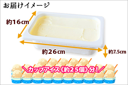 600.アイスクリーム バニラ ジェラート 業務用 2リットル 2L アイス 大容量  手作り 北海道 弟子屈町