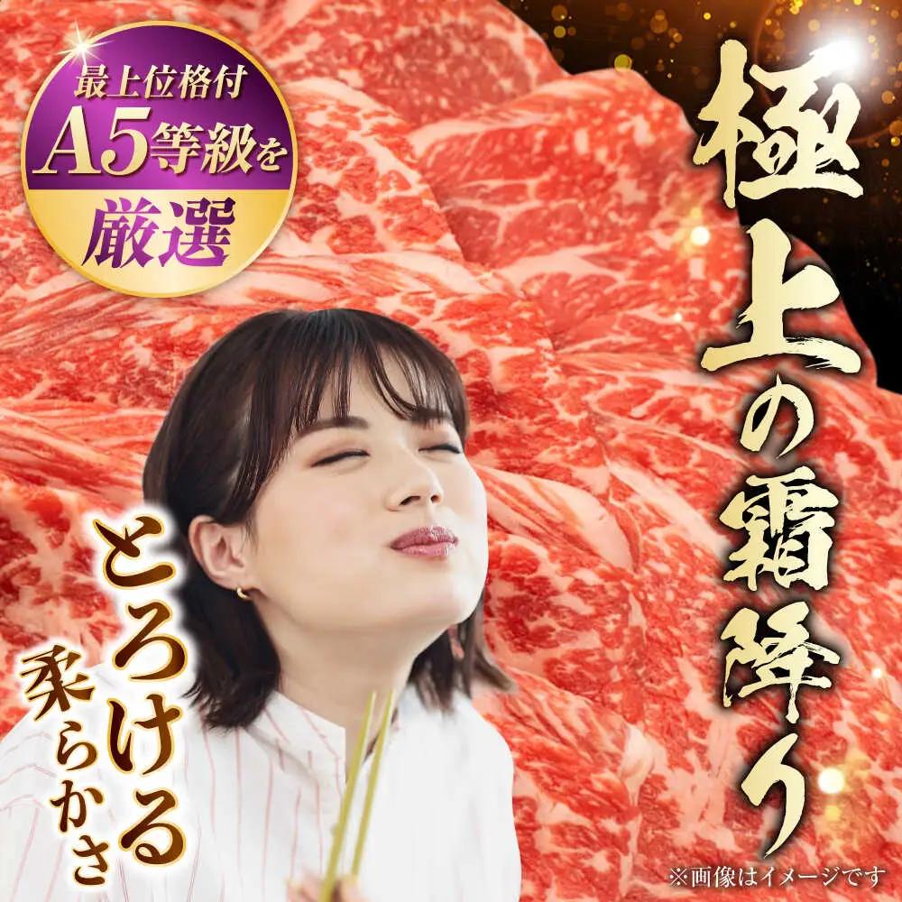 熊本県産 A5等級 黒毛和牛 和王 ウデスライス 約400g 牛肉スライス [AYCH069]