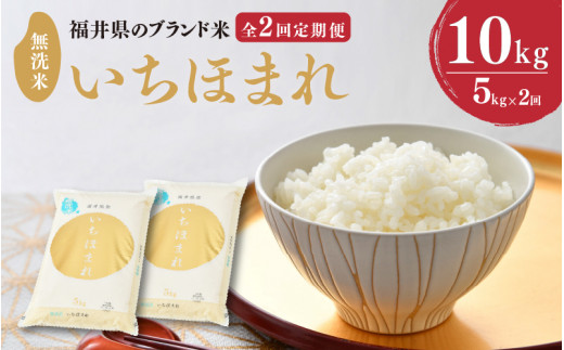 【令和7年産】定期便 ≪2ヶ月連続お届け≫ 福井県のブランド米 いちほまれ 無洗米 5kg × 2回 計10kg 【 無洗米 人気 品種 ブランド米 特A 】 [C-6113]
