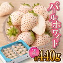 【ふるさと納税】【先行予約】上品な甘さ！希少な白いちご「パールホワイト」220g×2パック /イチゴ 白イチゴ 苺 果物 フルーツ 佐賀県産 [IZZ003]