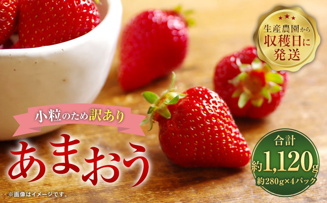 
            【1月～2月発送】【訳あり・小粒】 あまおう 約280g×4パック 約1120g【2026年1月上旬～2026年2月下旬発送予定】いちご イチゴ 苺 フルーツ
          