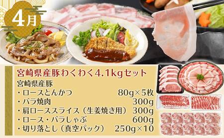 【年末企画】総重量12.7kg超え!豚ざんまい定期便(3ヶ月)2月・4月・6月お届け_T49-MY01_(都城市) 宮崎県産豚 わくわく 切り落とし 炒め物 とんかつ バラ しゃぶしゃぶ 焼肉 黒豚